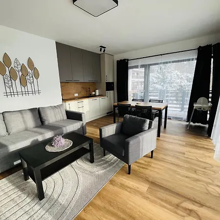 Szklarska4poryroku - Ii 公寓 *